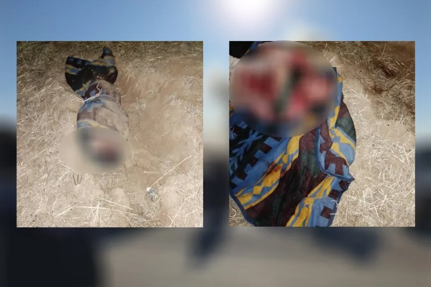 Şêniyê bi navê Îsmaîl Fattah li Tirbespiyê kuştî hate dîtin