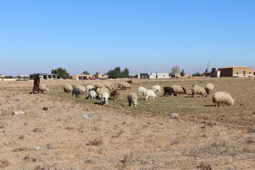 Xwediyên sewalan banga piştgiriyê dikin
