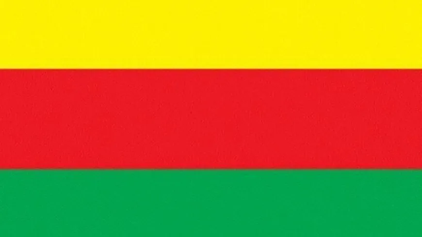 TEV-DEMˋê bêdengiya navneteweyî li hemberî komkujiyan şermezar kir