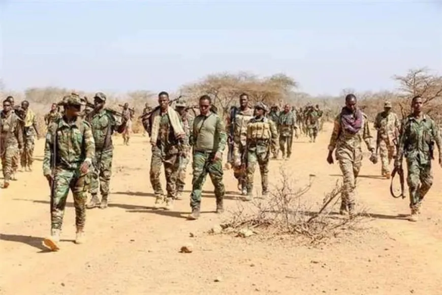 Li Somaliyê 16 çeteyên Tevgera El Şebab hatin kuştin