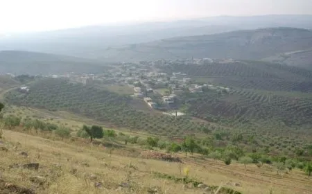Bi dehan welatiyên Kurd li Efrînê hatin revandin