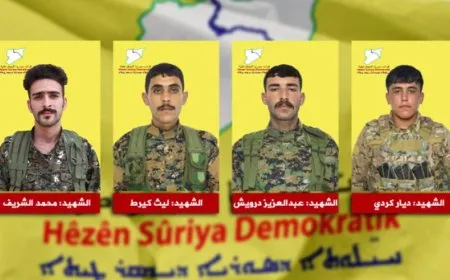 QSD: Şervanên me Hozan, Çiya, Reyan û Mihemed şehîd bûn