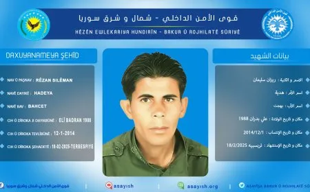 Endamekî Hêzên Ewlekariya Hundirîn şehîd bû