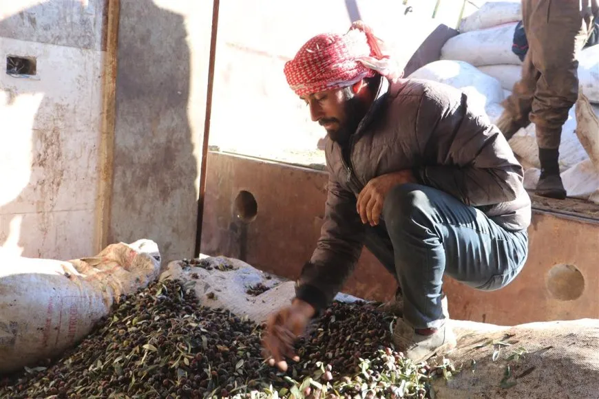 Li Hesekê kargeha "Sarince" ya yekemîn a zeyta zeytûnan