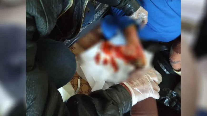 Di ‘Seydnayaya Efrînê’ de mirov bi saxî tên biraştin