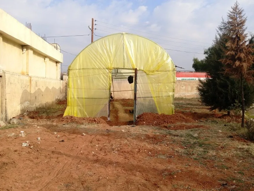 Li Çilaxayê şitilgehek tê avakirin