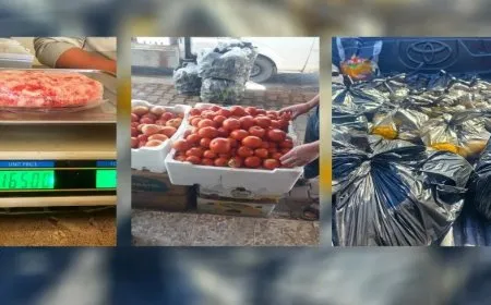 Ciwanên Reqayê destpêşxeriya "fitarek ji bo kesekî bi rojî" dest pê kir