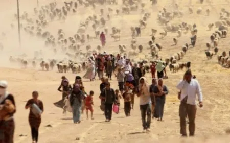 Ofîsa Rizgarbûyên Dîlên Êzidiyan: Herî kêm 5 hezar kes hatine qetilkirin