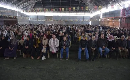 Li Cizîrê û Helebê çalakiyên hunerî, jîngehî û çandî