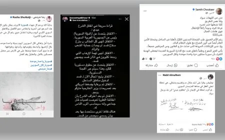 Hunermendên sûriyeyî: Peymana QSD'ê û Şamê gaveke ber bi Sûriyeyeke yekbûyî ve