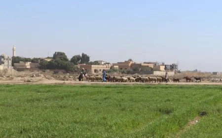 Ji Reqayê dîmenên biharê