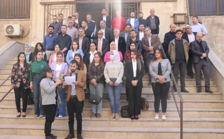 Parêzer û dadwer: "Danezana Destûrî" bingeha sistemeke zordest ava dike
