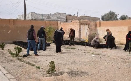 Li Şedadê xebata çandina 20 hezar daran