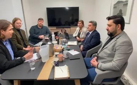 Şandeya Rêveberiya Xweser bi Partiya Çep a Fînlandiyayê re civiya