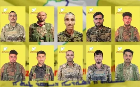 QSD'ê nasnameyên şervanên xwe aşkere kirin