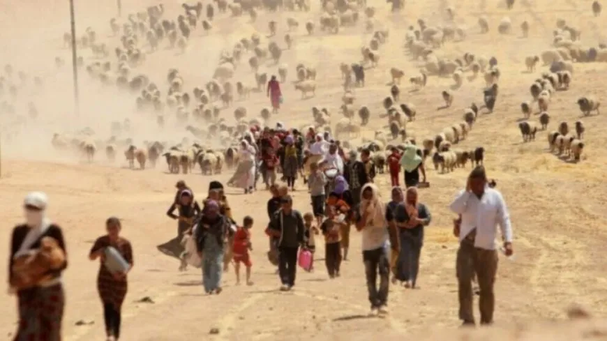 Ofîsa Rizgarbûyên Dîlên Êzidiyan: Herî kêm 5 hezar kes hatine qetilkirin