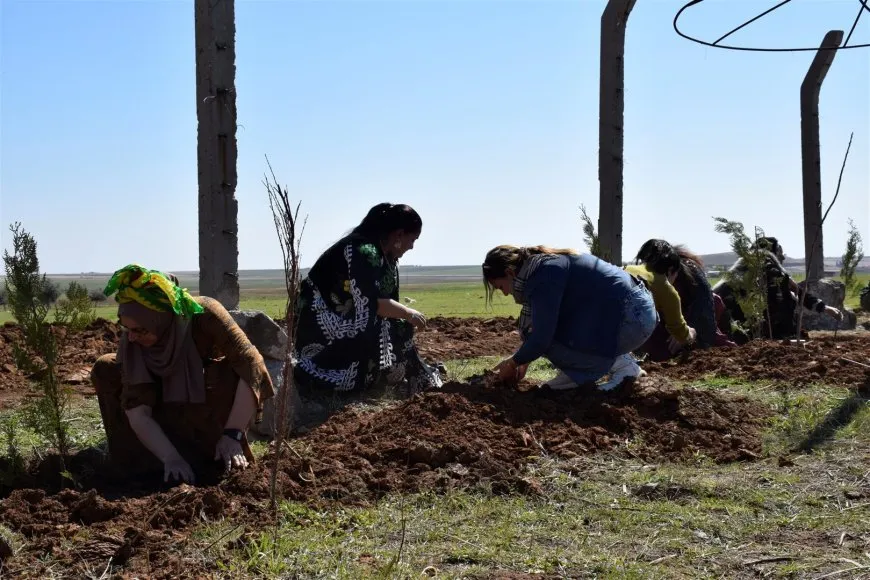 Çalakiyên 8’ê Adarê: Têkoşîna ji bo azadî û wekheviyê didome