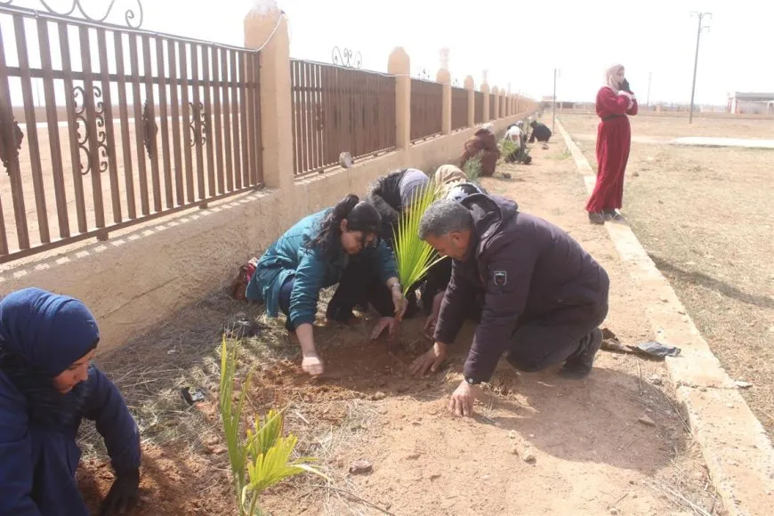 Li Cizîrê û Helebê çalakiyên hunerî, jîngehî û çandî