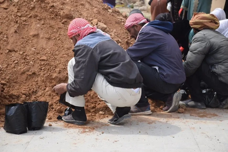 Li Şedadê xebata çandina 20 hezar daran