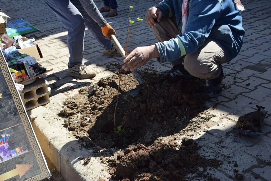 Li Girkê Legê xebata çandina daran
