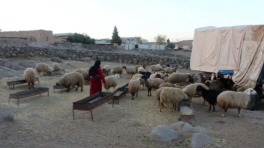 Jin û xweza… çîroka jiyanê