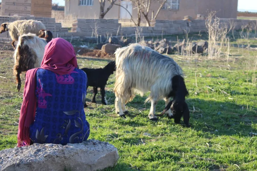 Jin û xweza… çîroka jiyanê