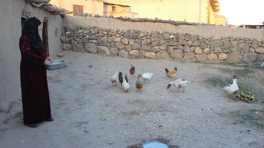 Jin û xweza… çîroka jiyanê