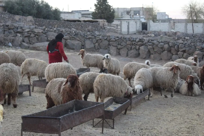 Jin û xweza… çîroka jiyanê