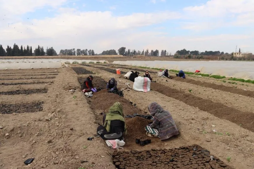 Li Reqayê çandina şitilên sebzeyan dest pê kir