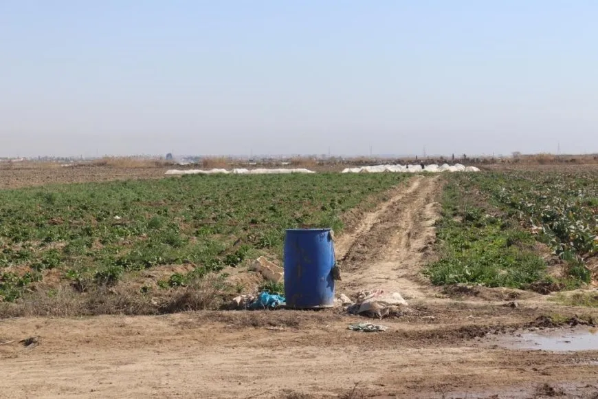 Li Reqayê çandina şitilên sebzeyan dest pê kir