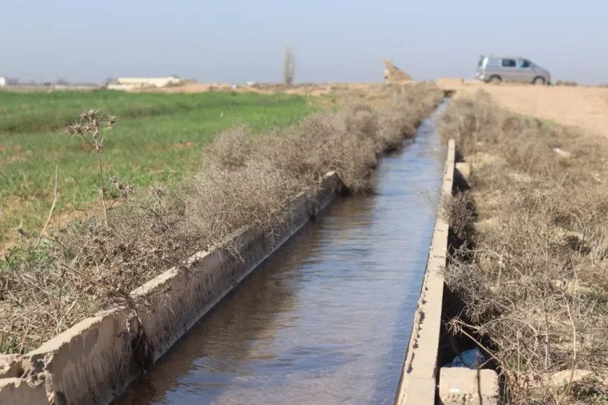 Li Reqayê çandina şitilên sebzeyan dest pê kir