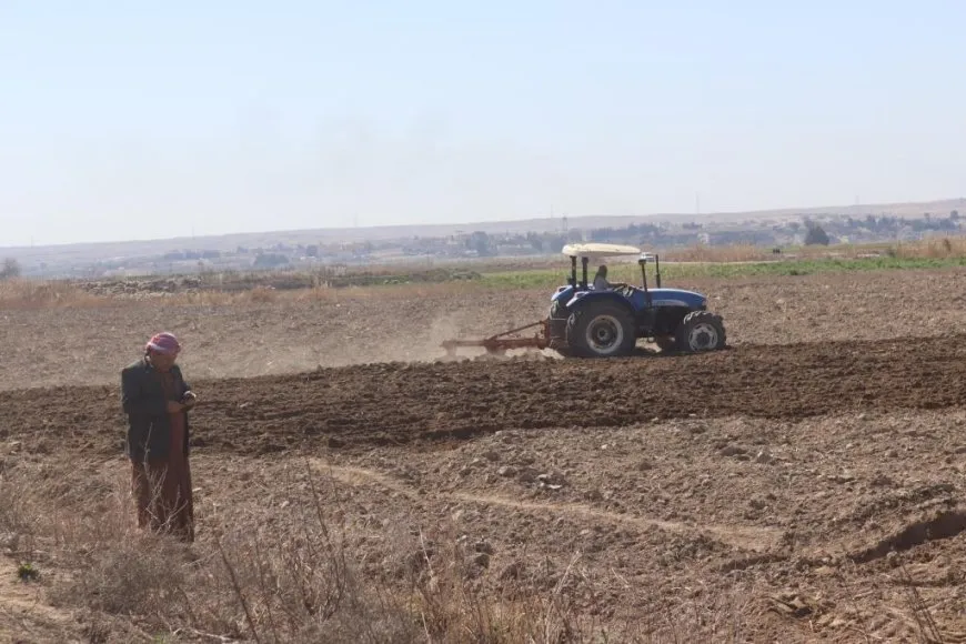 Li Reqayê çandina şitilên sebzeyan dest pê kir