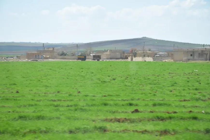 Çend dîmen û wêne ji bihara Kobanê