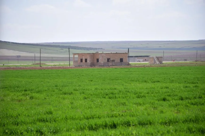 Çend dîmen û wêne ji bihara Kobanê