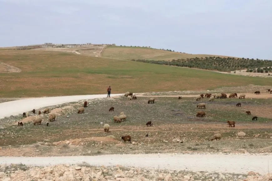 Çend dîmen û wêne ji bihara Kobanê