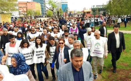 Meşa Amarayê destpê kir