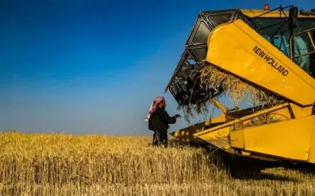 FAO: Sûriye bi aloziya ewlehiya xurekê re rû bi rû ye