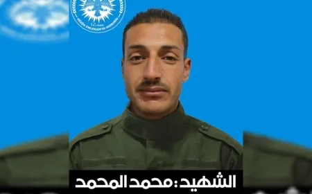 Endamekî Hêzên Ewlekariya Hundirîn di qezayekê de şehîd bû