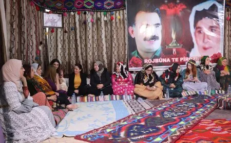 Li Qamişlo şevbuhêrka jinan
