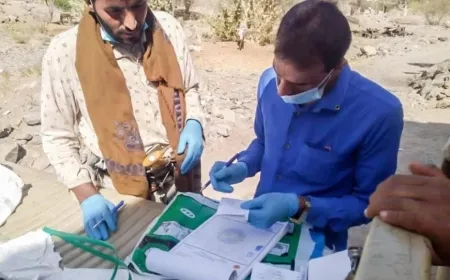 Li Yemenê nêzî 50 hezar kes bi Melaryayê ketin