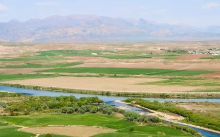 Sêgoşeya di navbera sê paçreyên welat bi rengê biharê geş bû