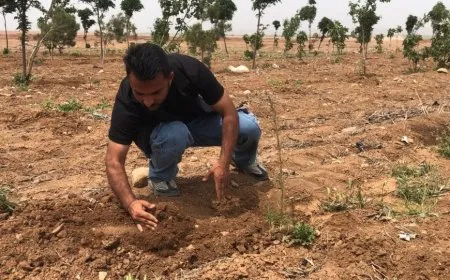 Li Qamişlo 300 şitlên din li şûna çopgehê hatin çandin