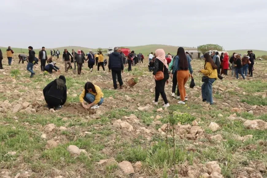 4’ê Nîsanê bi şahî û çandina daran hat pîrozkirin