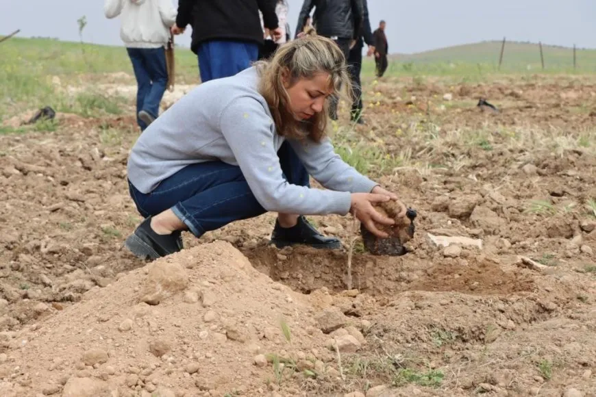 4’ê Nîsanê bi şahî û çandina daran hat pîrozkirin