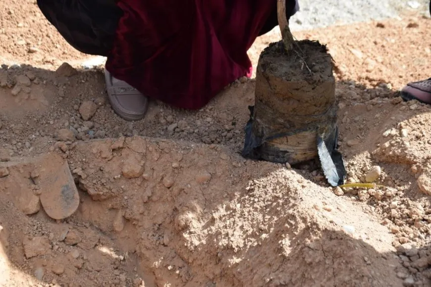 4’ê Nîsanê bi şahî û çandina daran hat pîrozkirin