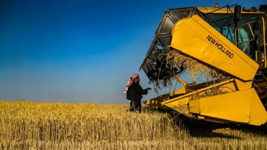 FAO: Sûriye bi aloziya ewlehiya xurekê re rû bi rû ye