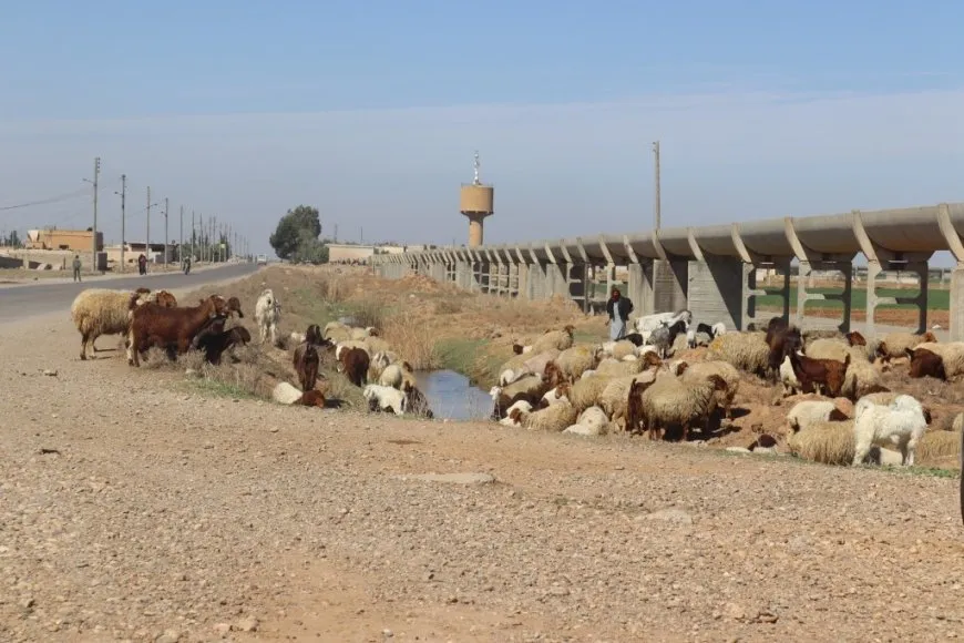 Li Reqayê hewldanên ji bo projeyên avdaniyê