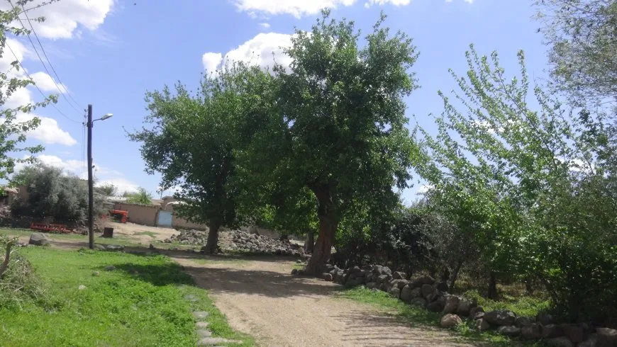 Ji gundên Çilaxayê dîmenên biharê