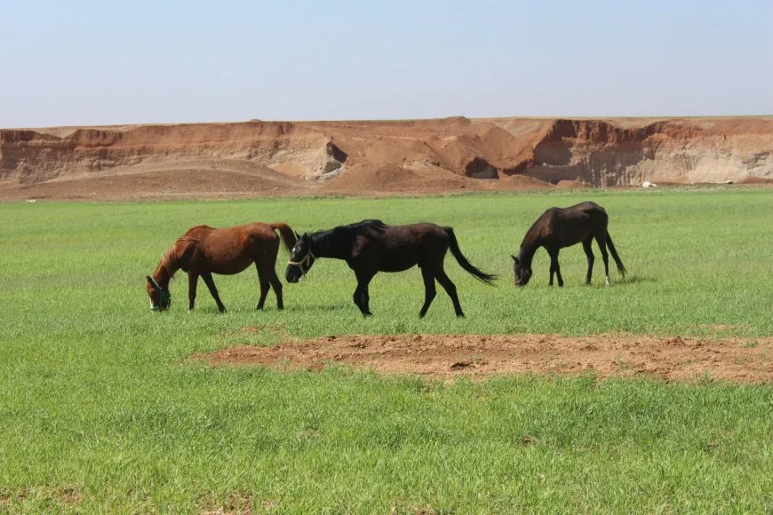 Ji gundên Çilaxayê dîmenên biharê