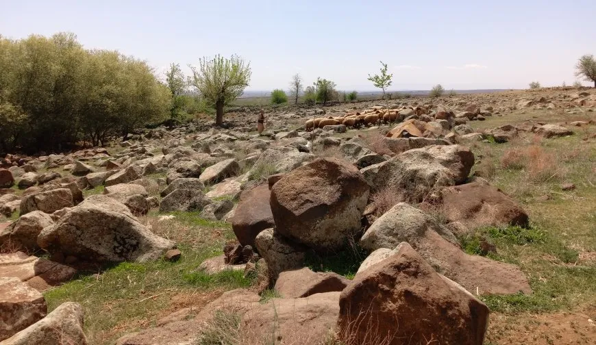 Ji gundên Çilaxayê dîmenên biharê
